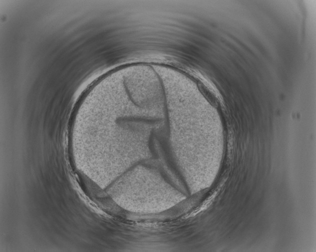 X0000084000944200703161645