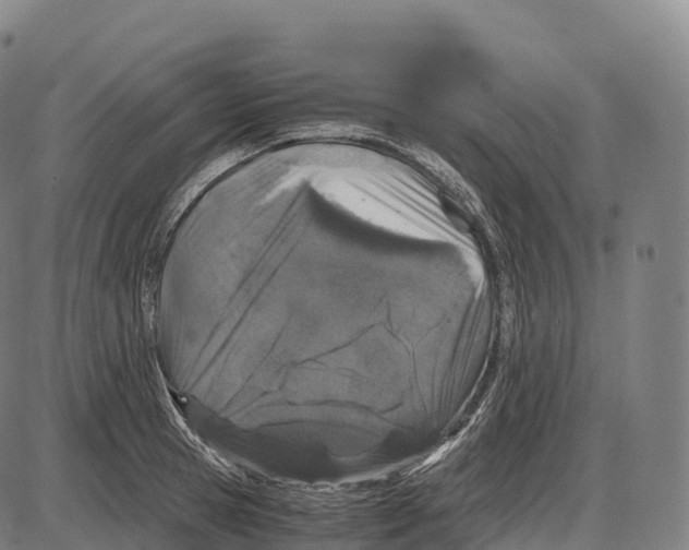 X0000084000945200703161645