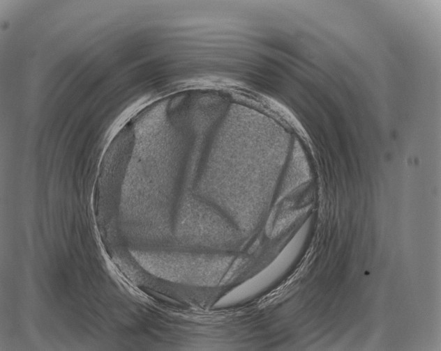 X0000084000946200703161645