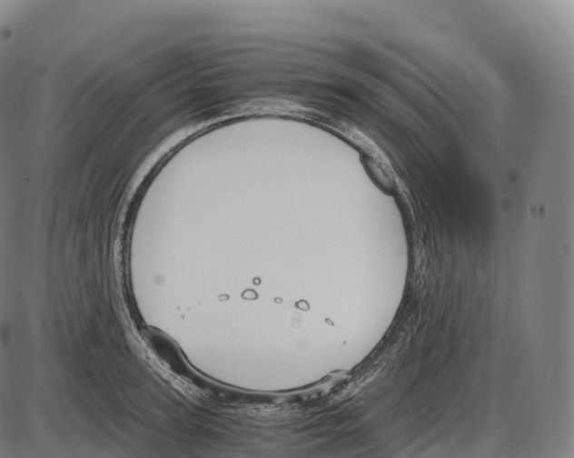 X0000084000947200703161645