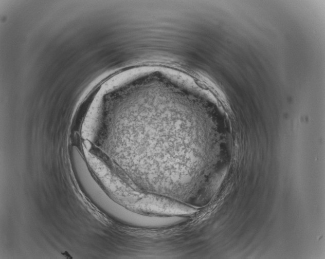 X0000084000948200703161645