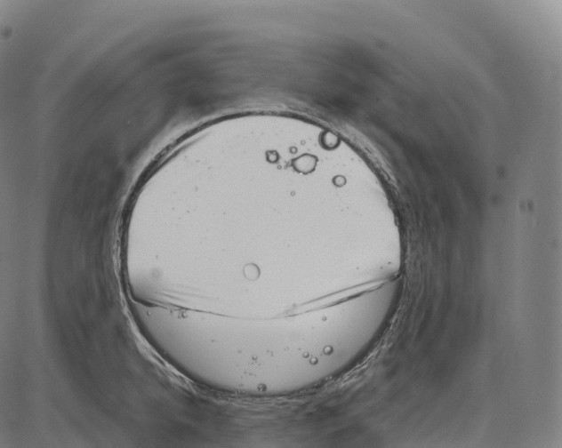 X0000084000950200703161645