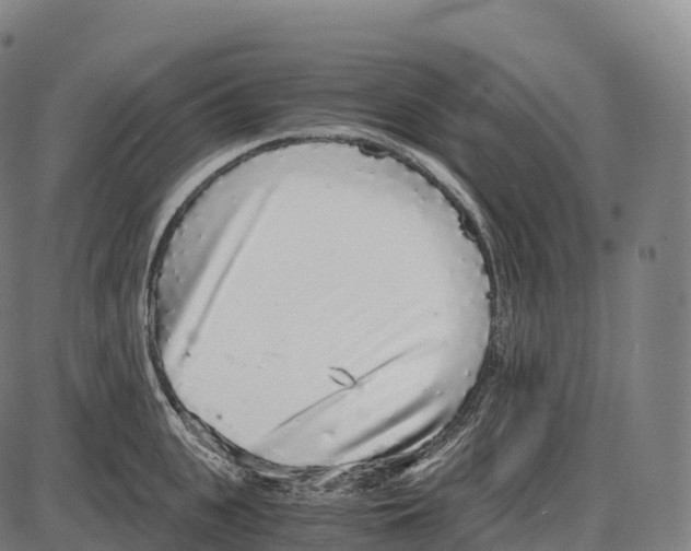 X0000084000951200703161645