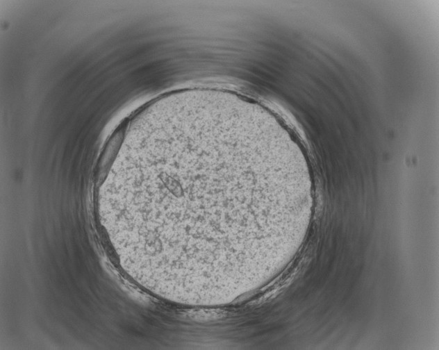 X0000084000952200703161645