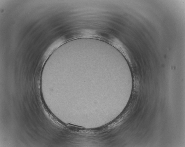 X0000084000954200703161645