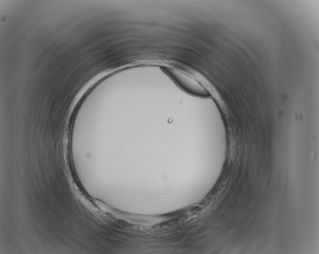 X0000084000955200703161645