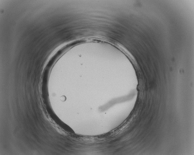 X0000084000956200703161645