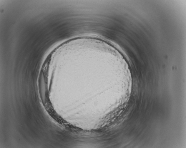 X0000084000959200703161645