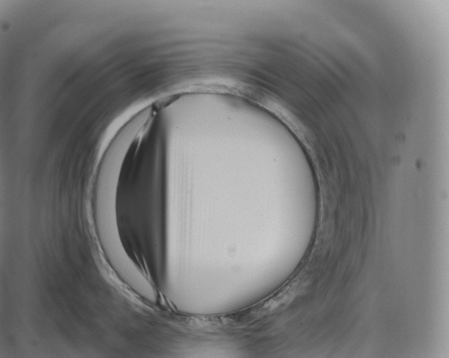 X0000084000960200703161645