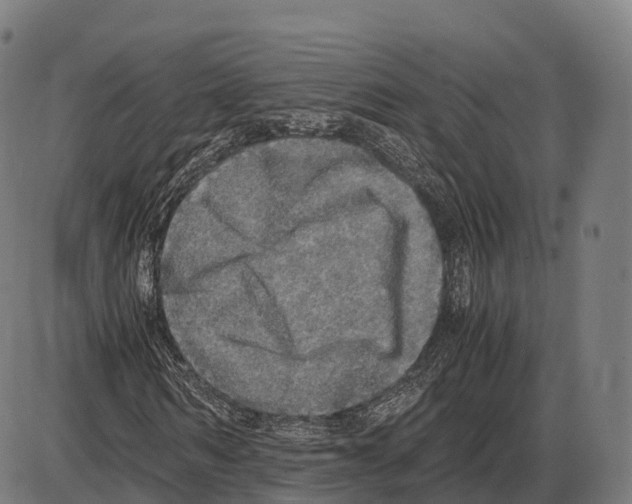 X0000084000962200703161644