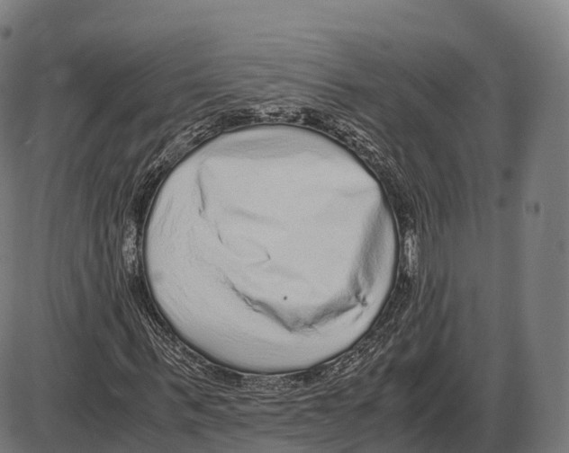 X0000084000963200703161644