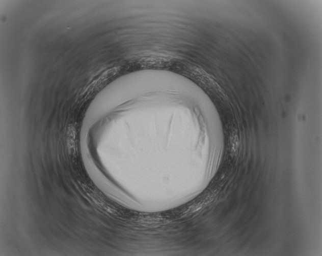 X0000084000964200703161644