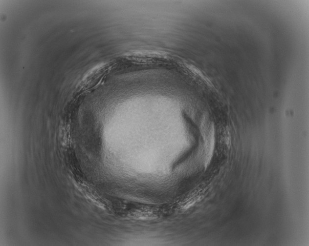 X0000084000965200703161644