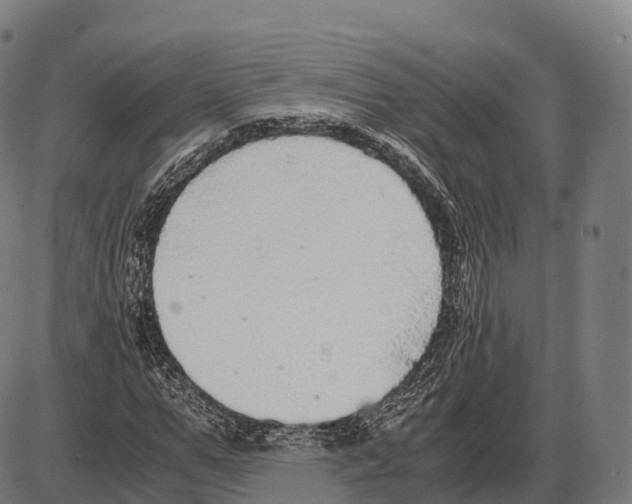 X0000084000967200703161644