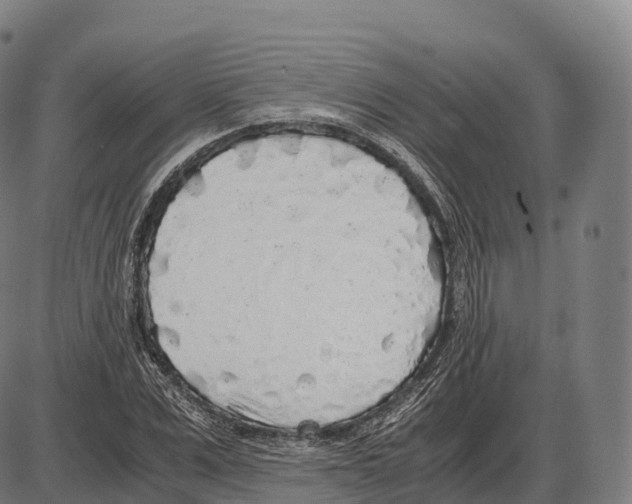 X0000084000975200703161644