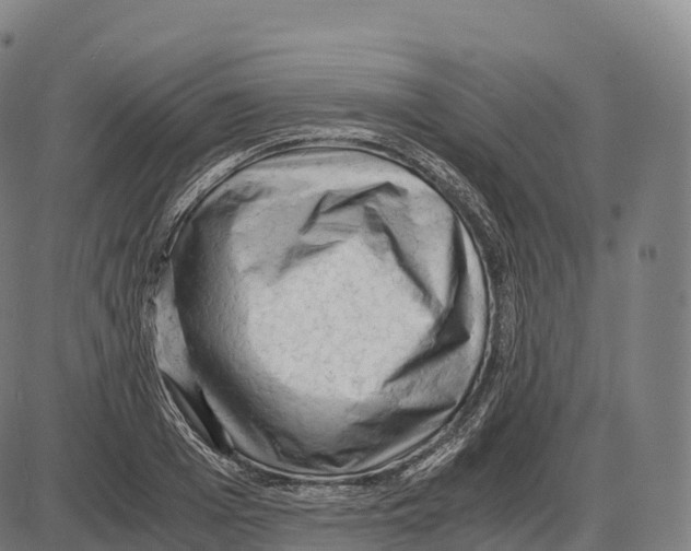 X0000084000985200703161644