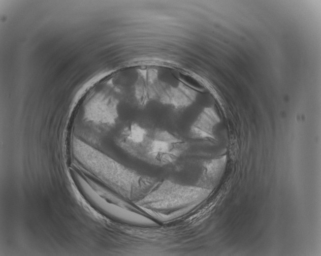 X0000084000995200703161644