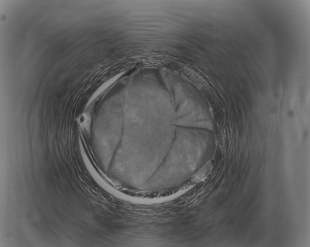 X0000084001010200703161643