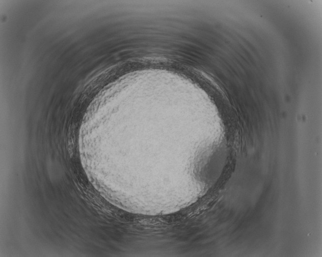 X0000084001015200703161643