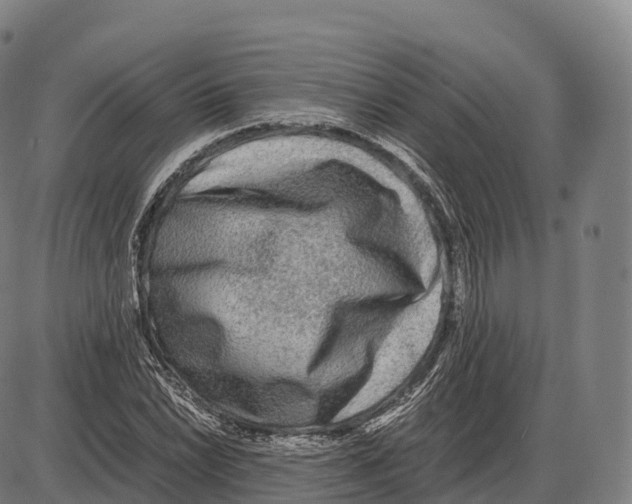 X0000084001022200703161643