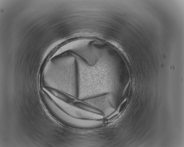 X0000084001030200703161643