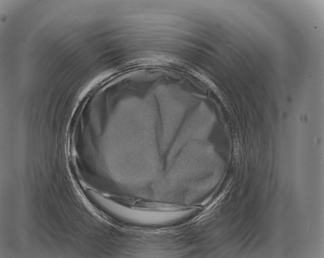 X0000084001034200703161643