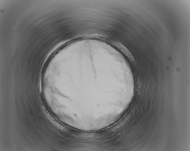 X0000084001036200703161643