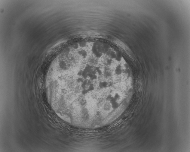 X0000084001063200703161642