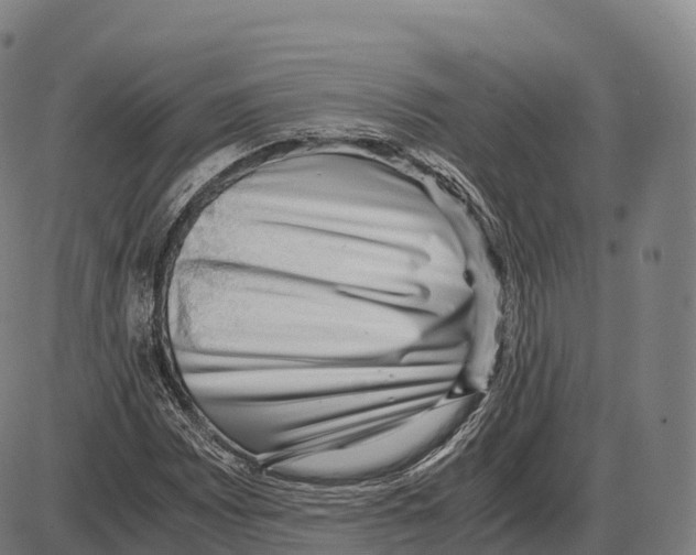 X0000084001065200703161642