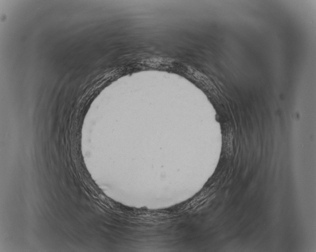 X0000084001105200703161641
