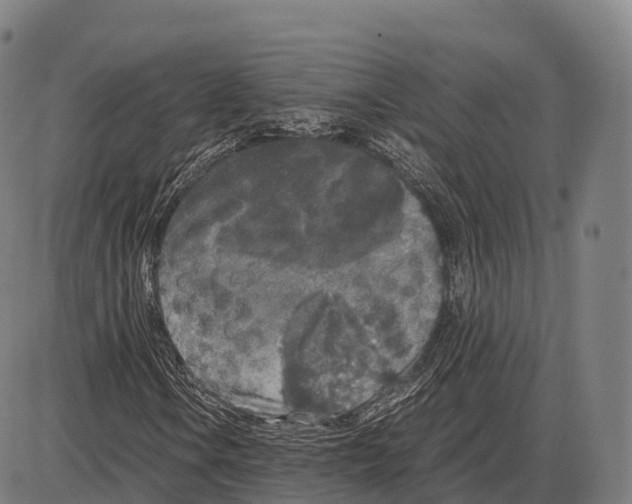 X0000084001106200703161641