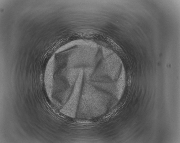 X0000084001108200703161641