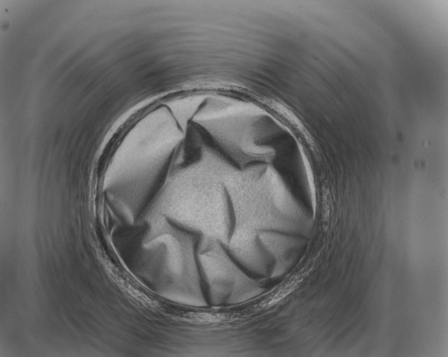 X0000084001124200703161641
