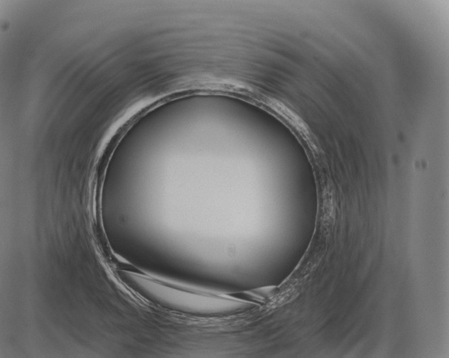X0000084001128200703161641