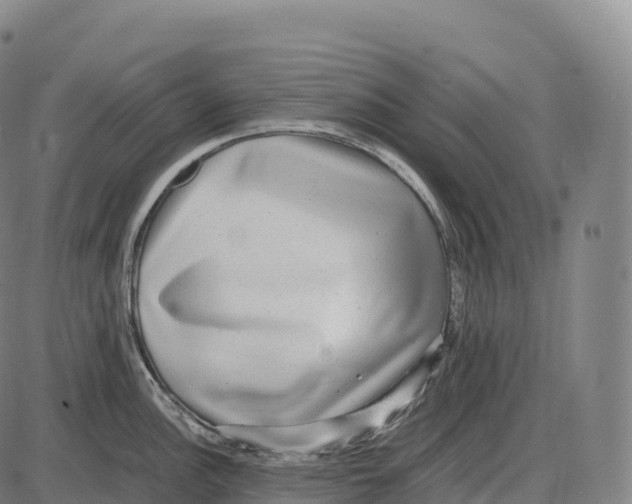 X0000084001148200703161642
