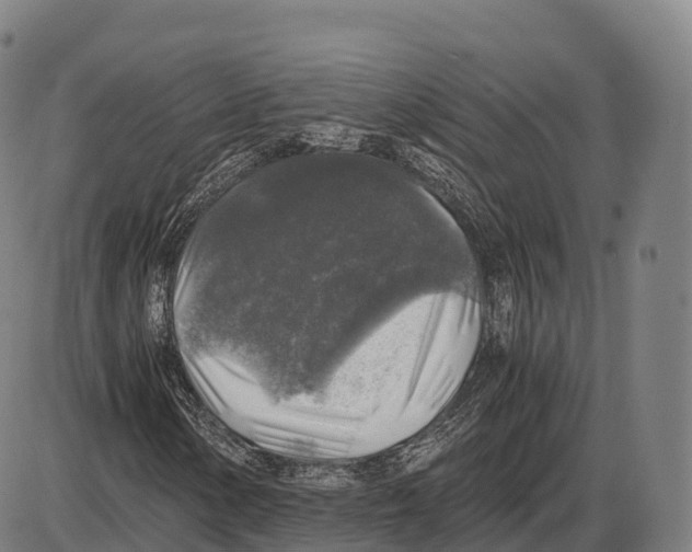 X0000084001154200703161641
