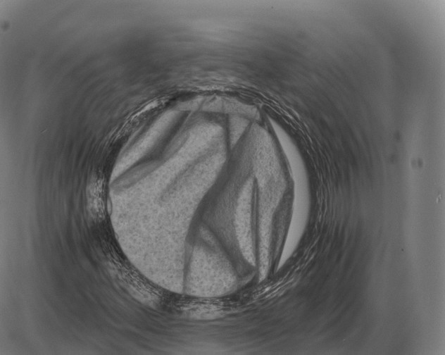 X0000084001156200703161641