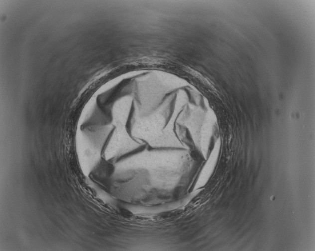 X0000084001160200703161641