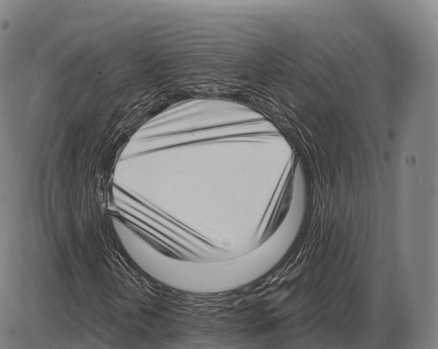 X0000084001202200703161639
