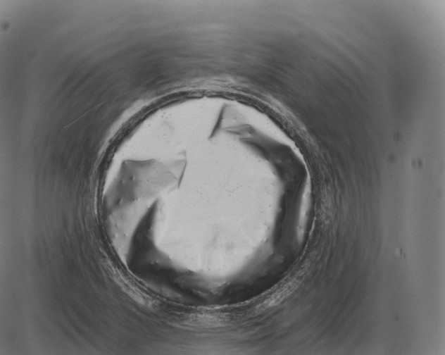 X0000084001224200703161640