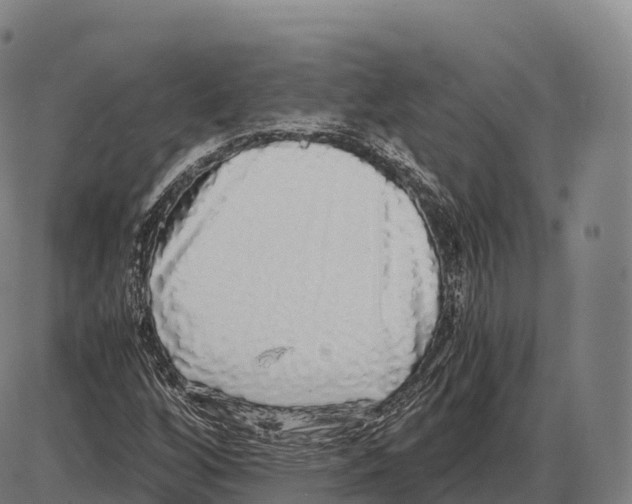 X0000084001256200703161639