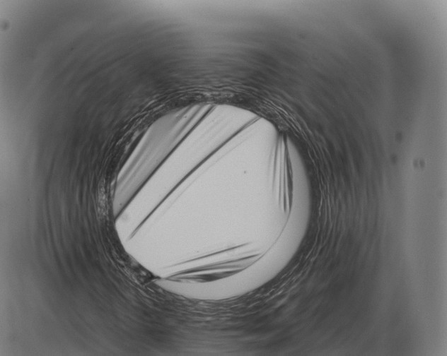 X0000084001298200703161638
