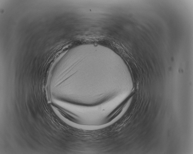 X0000084001300200703161638