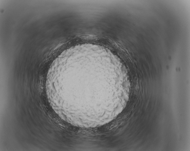 X0000084001301200703161638