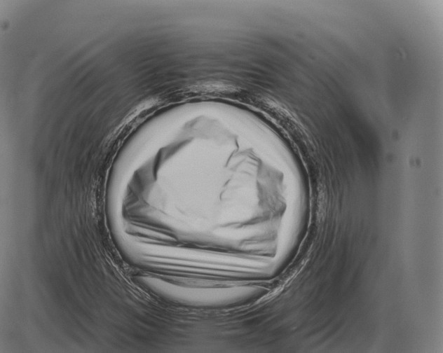 X0000084001305200703161638