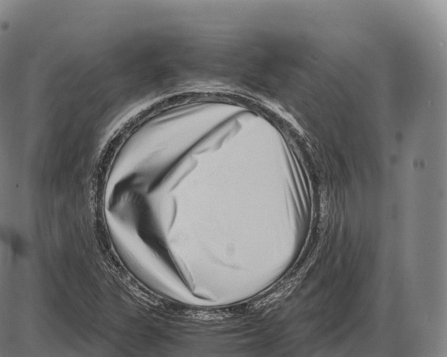 X0000084001311200703161638