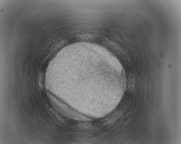 X0000084001346200703161638