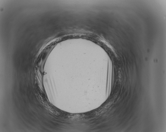 X0000084001352200703161638