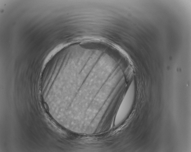 X0000084001373200703161637