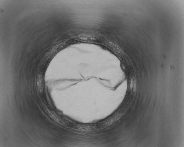X0000084001396200703161636